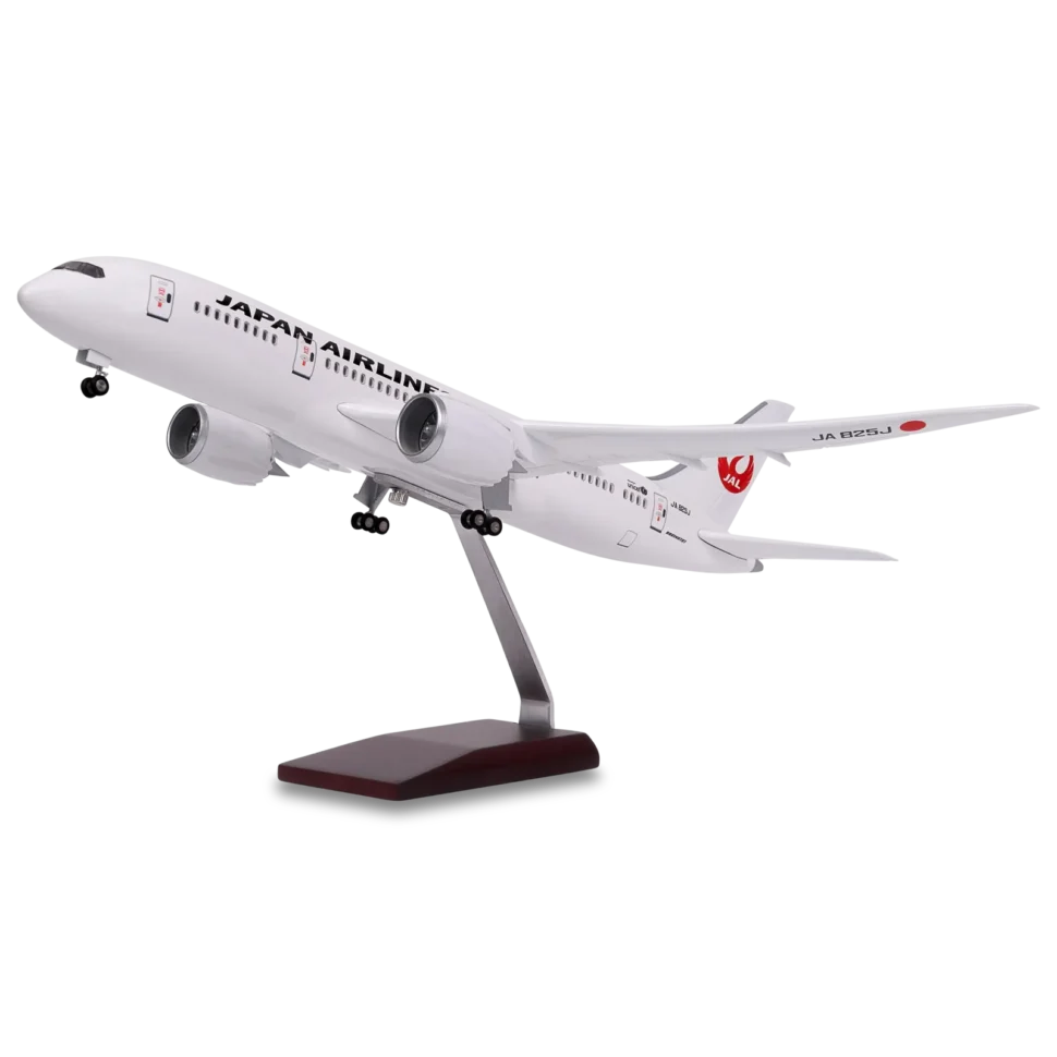Japan Airlines B787-8 Aircraft Resin Model - Image 2